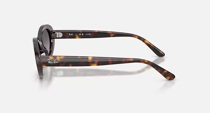 Ray-Ban 2223 Sunglasses