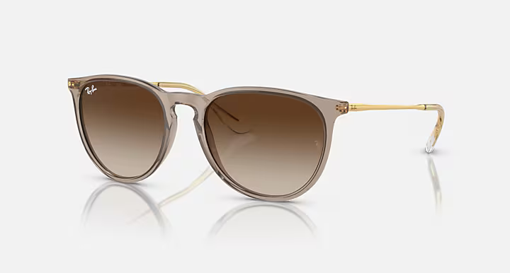 Ray-Ban Erika Sunglasses