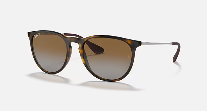 Ray-Ban Erika Sunglasses
