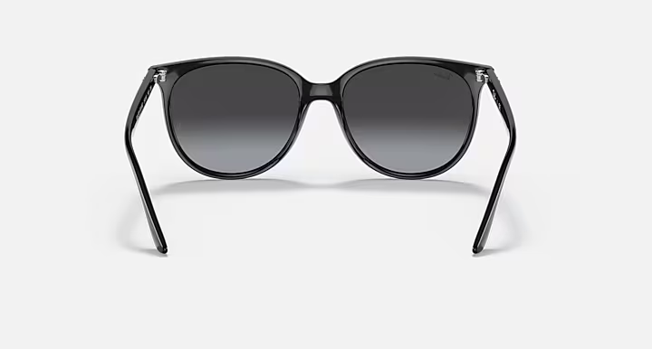 Ray-Ban 4378 Sunglasses