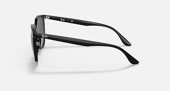 Ray-Ban 4378 Sunglasses