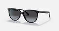 Ray-Ban 4378 Sunglasses
