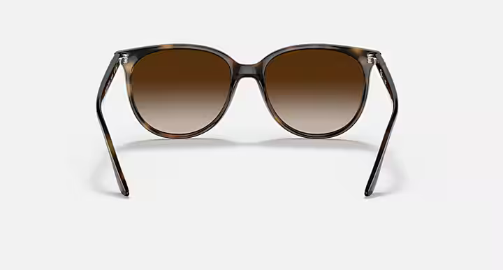 Ray-Ban 4378 Sunglasses