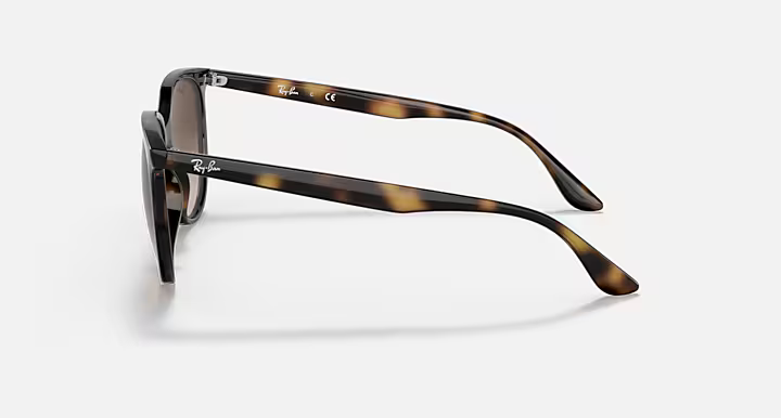 Ray-Ban 4378 Sunglasses