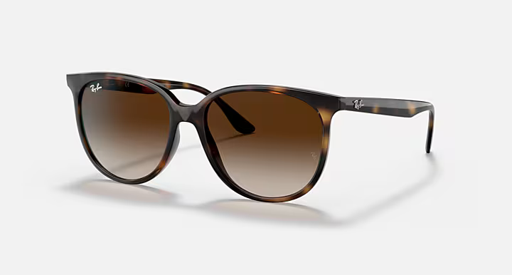 Ray-Ban 4378 Sunglasses