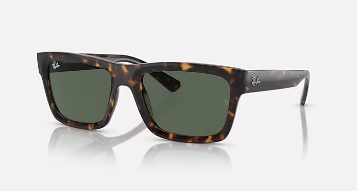 Ray-Ban Warren Sunglasses