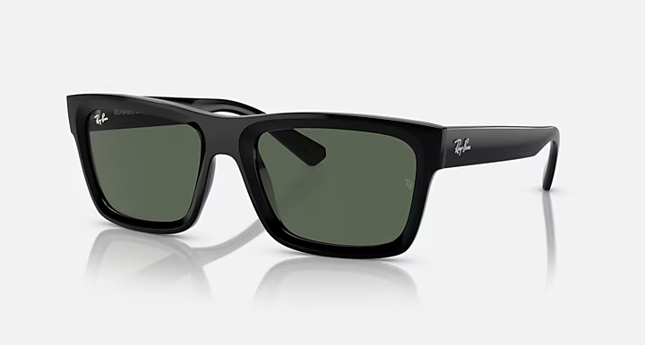 Ray-Ban Warren Sunglasses