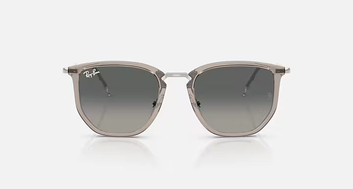 Ray-Ban 4451 Sunglasses