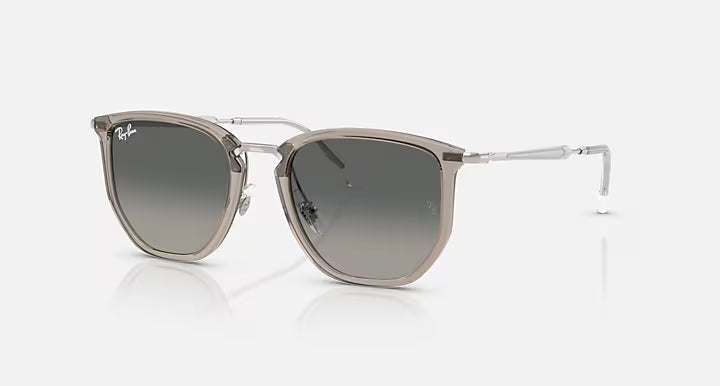 Ray-Ban 4451 Sunglasses