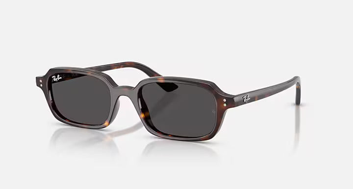 Ray-Ban RB4455 Zuri Bio-based Sunglasses