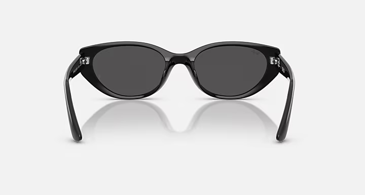 Ray-Ban RB4457D Sunglasses