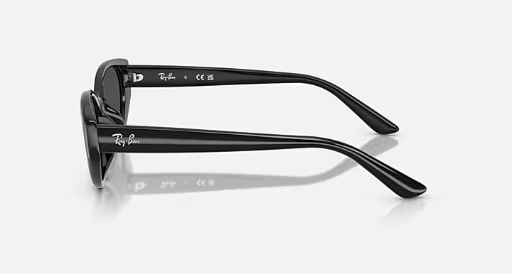 Ray-Ban RB4457D Sunglasses